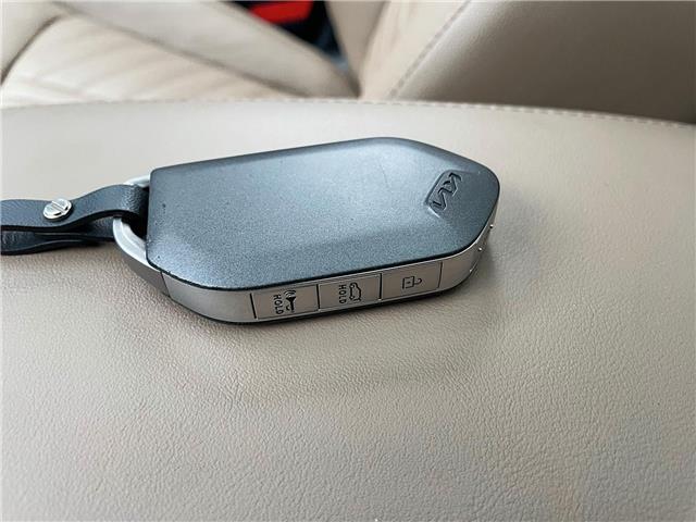 2025 Kia Sorento 2.5T X-Pro w/Olive Brown Interior