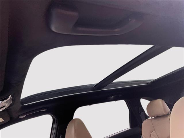 2025 Kia Sorento 2.5T X-Pro w/Olive Brown Interior