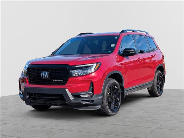 2025 Honda Passport Black Edition