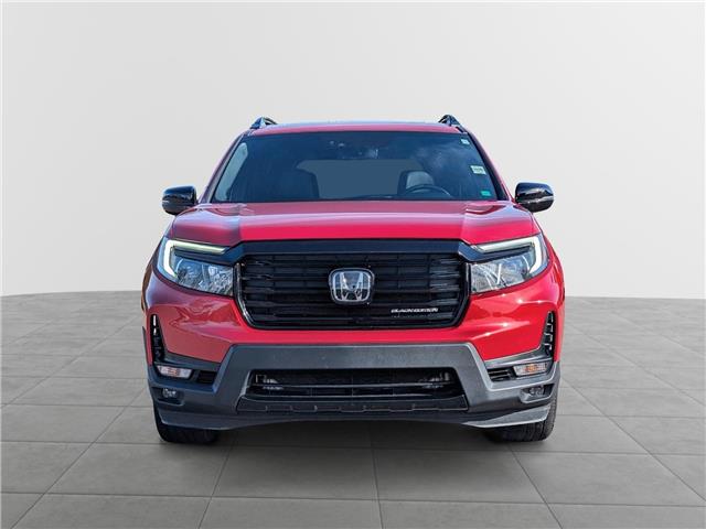 2025 Honda Passport Black Edition