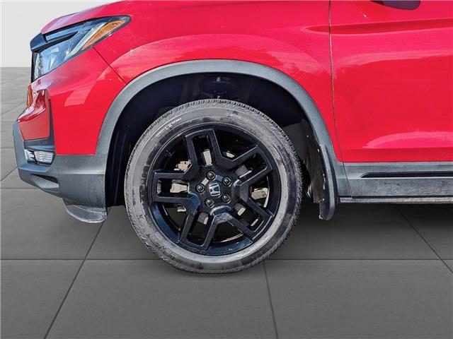 2025 Honda Passport Black Edition