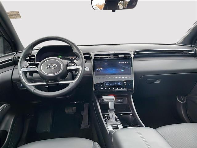 2024 Hyundai Santa Cruz Trend