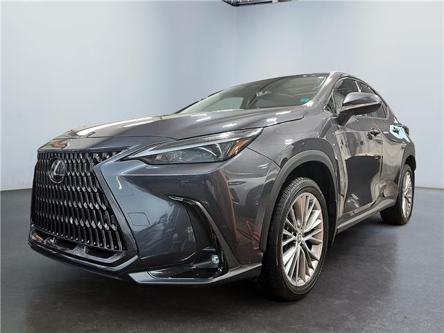 2022 Lexus NX 350 