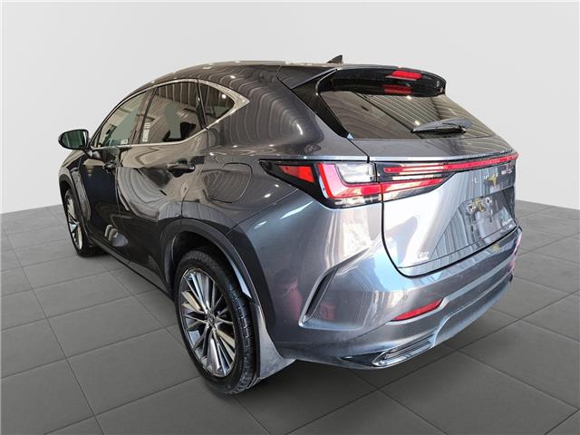 2022 Lexus NX 350 