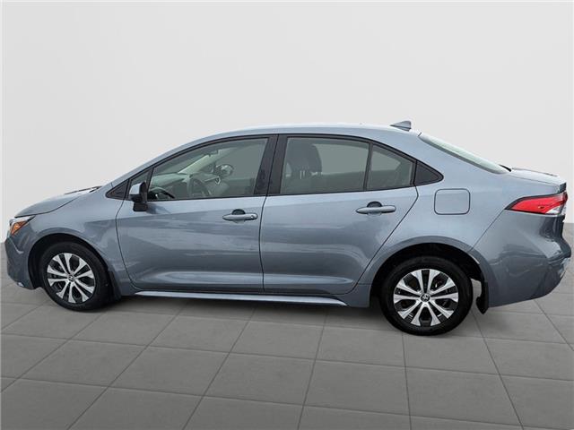 2024 Toyota Corolla Hybrid LE