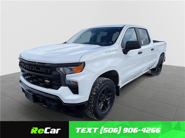 2022 Chevrolet Silverado 1500 Work Truck